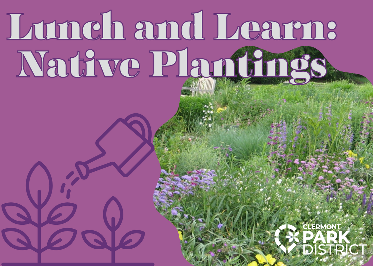 Lunch and Learn: Native Plantings is written over a picture of a closely-planted garden. The garden has purple, white, green, and yellow flowers.